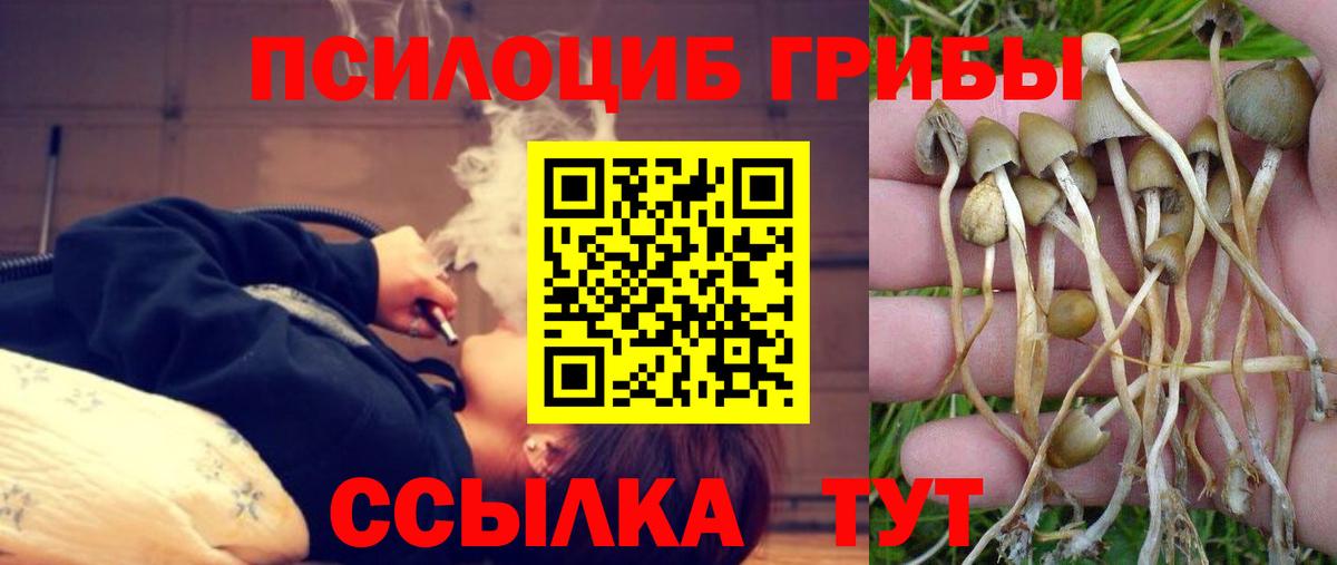 Галлюциногенные грибы прущие грибы  Вход с VPN  Боровичи 